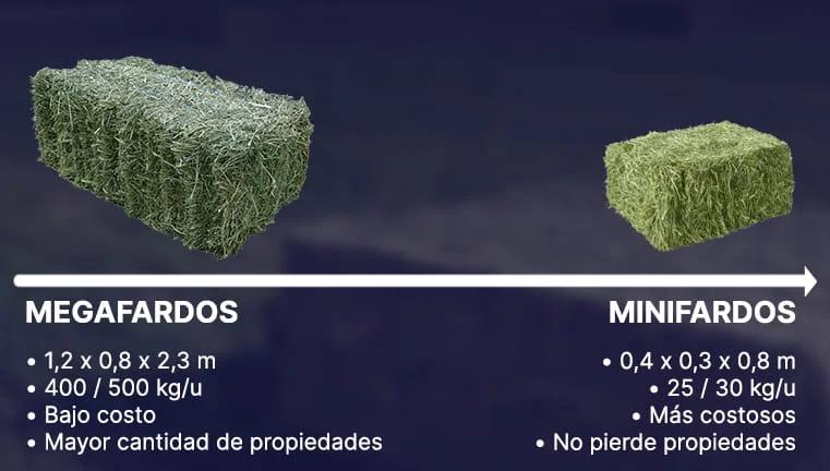 Peso de un Fardo de Pasto: Guía Completa - Cuánto pesa un fardo de pasto peso de un fardo de pasto - Cuánto pesa un fardo de pasto