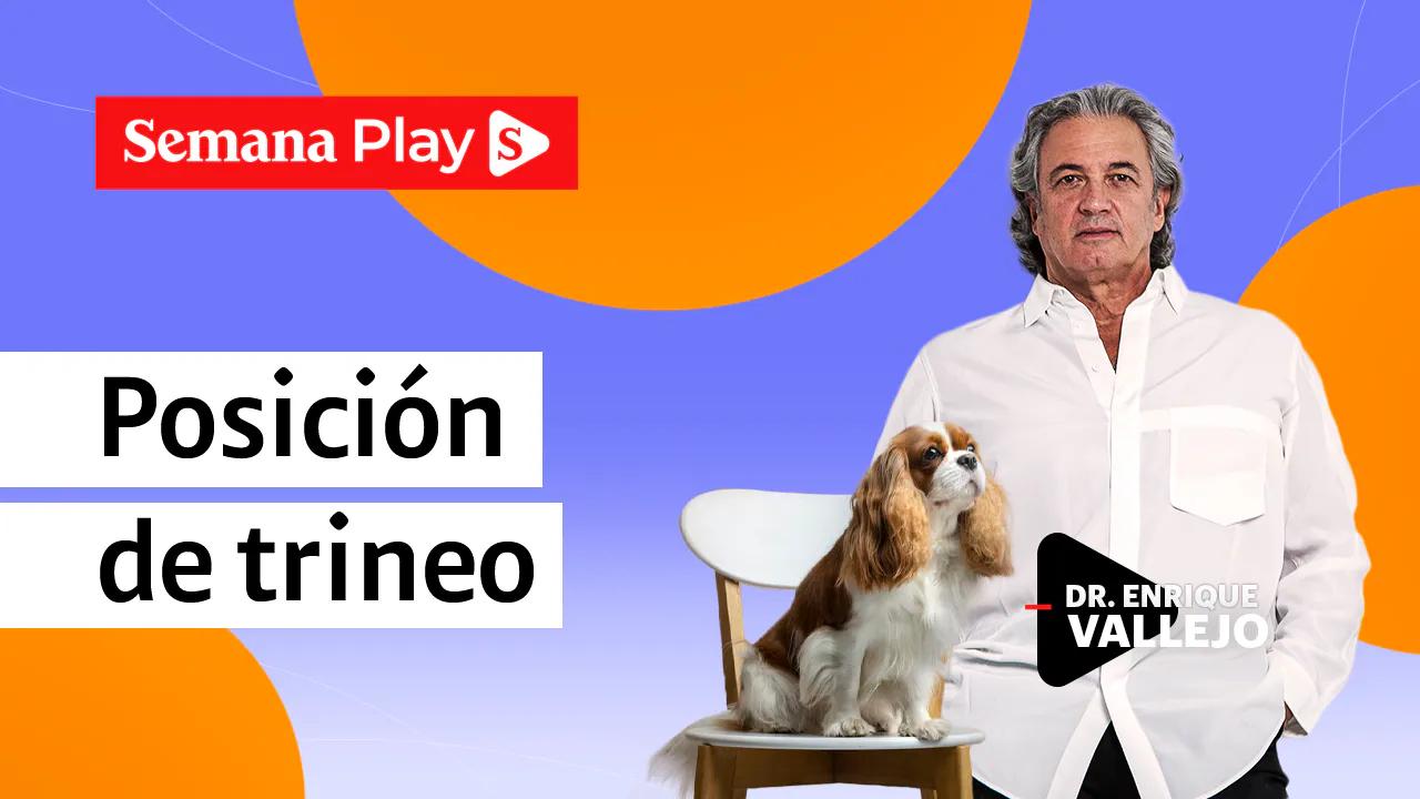 porque mi perro se arrastra en el pasto - Qué significa cuando un perro se arrastra