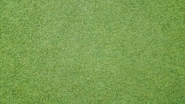 Textura del Césped Sintético: Guía Completa - Qué textura tiene el pasto sintético cesped sintetico textura - Qué textura tiene el pasto sintético